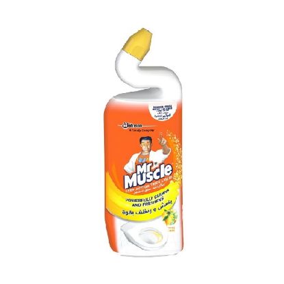 Picture of Mr.Muscle Duck Citrus Toilet Cleaner 750ml
