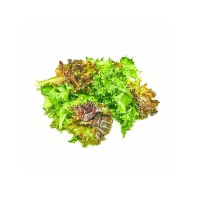 Picture of Mixed Salad UAE 100gm