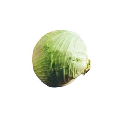 Picture of Green Cabbage