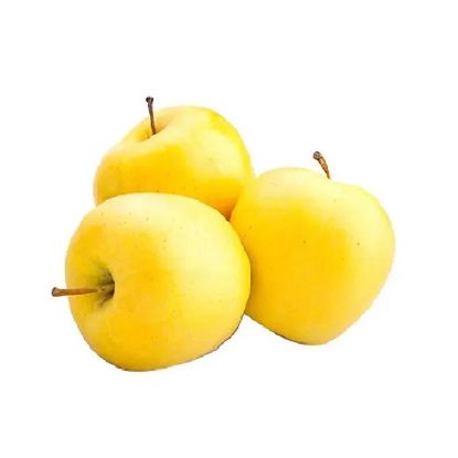 Picture of Apple Golden Italy