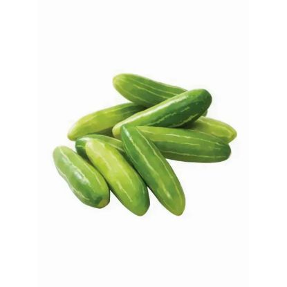 Picture of Tindly Indian (Ivy Gourd)