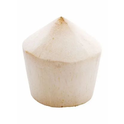 Picture of Coconut Young Thailand 1 Piece