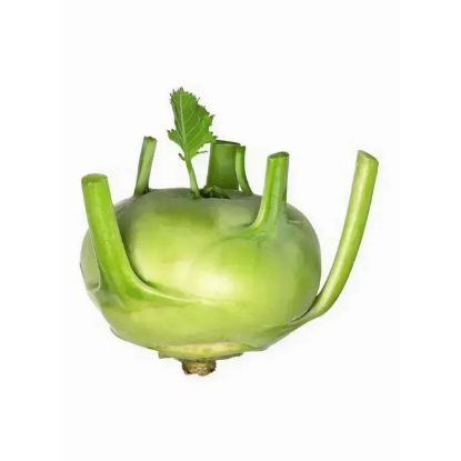 Picture of Kholrabi (German Turnip), UAE