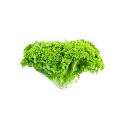 Picture of Lollo Biondo Lettuce, UAE 100gm