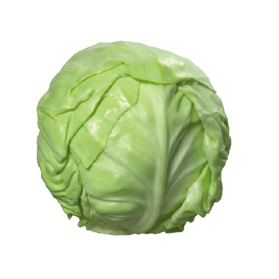 Picture of Cabbage India