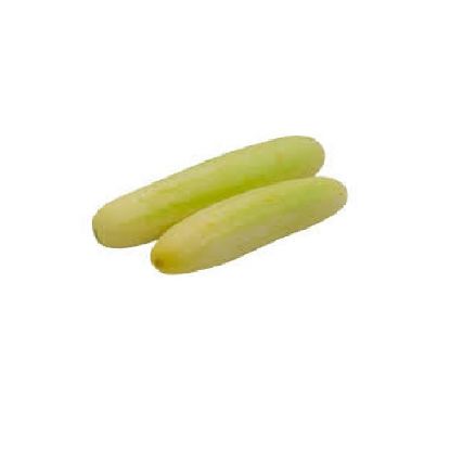 Picture of White Cucumber, Sri Lanka