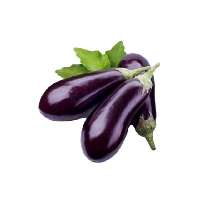 Picture of Egg Plant Oman