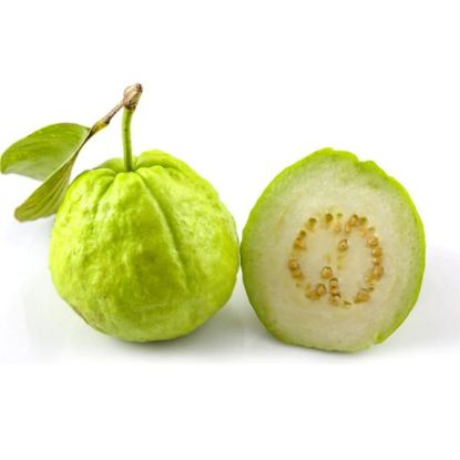Picture of Guava India