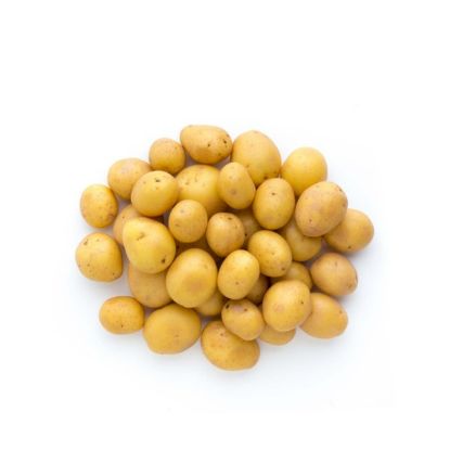 Picture of Potato Baby Holland