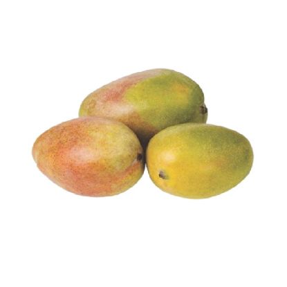 Picture of Mabrouka Mangoes, Egypt
