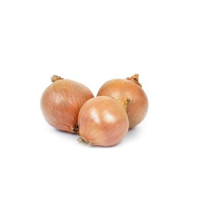 Picture of Onion Brown Spain