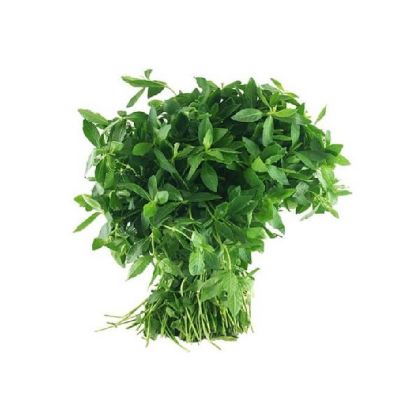 Picture of Sri Mukunuwenna, Sri Lanka