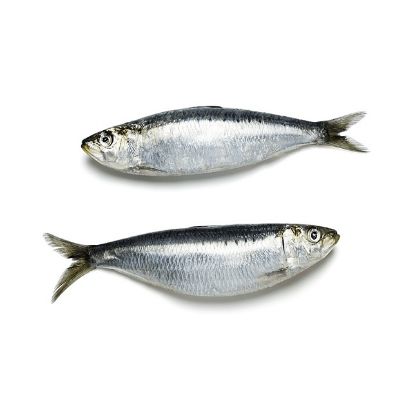 Picture of Sardine Fish 1kg