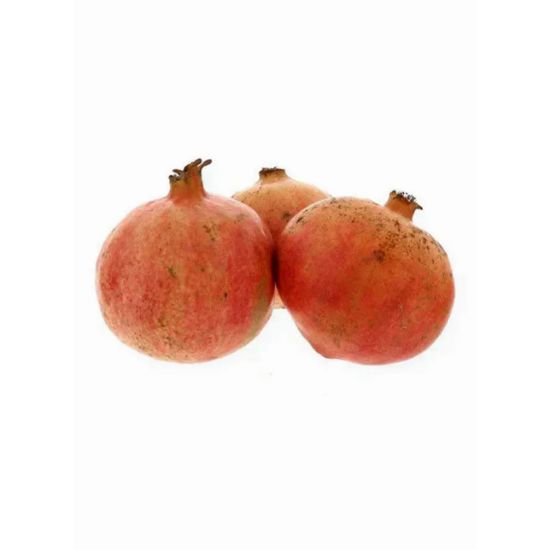 Picture of Pomegranate Egypt