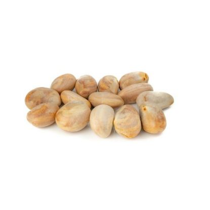 Picture of Jackfruit Seed India
