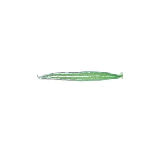 Picture of Green Padwal, Oman