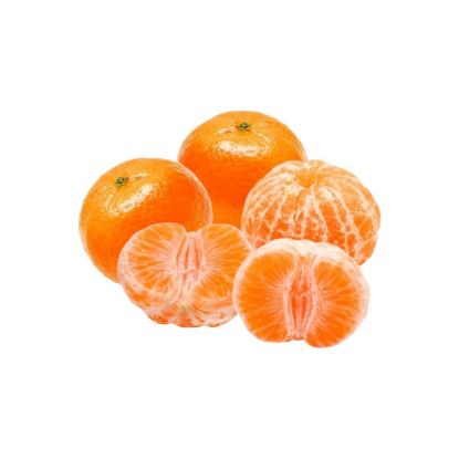 Picture of Mandarin Turkey