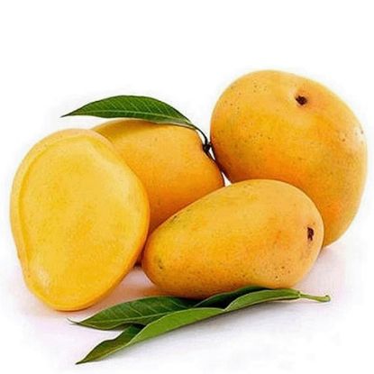 Picture of Mango Neelam