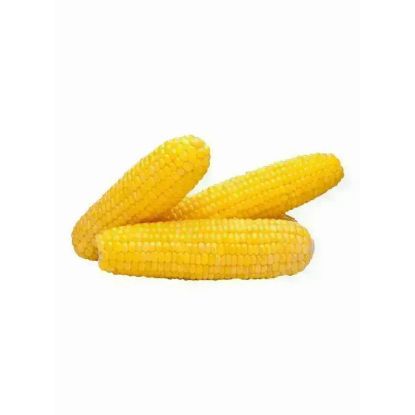 Picture of Sweet Corn Local
