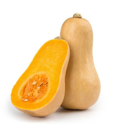 Picture of Pumpkin Butternut Squash Australia