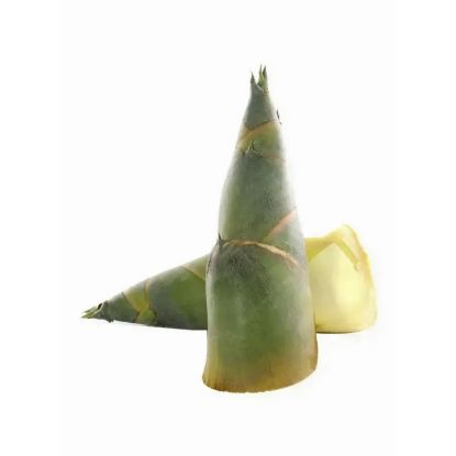 Picture of Bamboo Shoot (Labong) Philippines