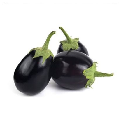 Picture of Egg Plant Baby Oman