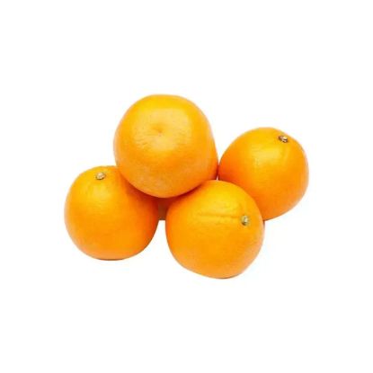 Picture of Orange Valencia South Africa