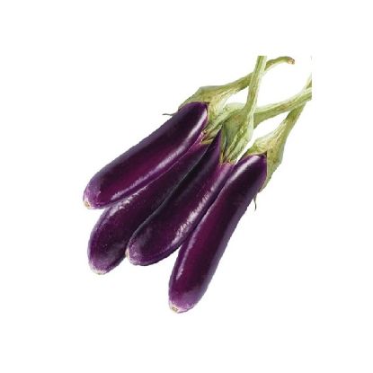 Picture of Brinjal (Eggplant), Sri Lanka
