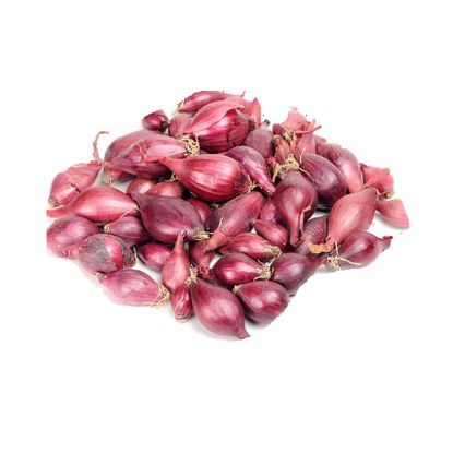 Picture of Onion Small India
