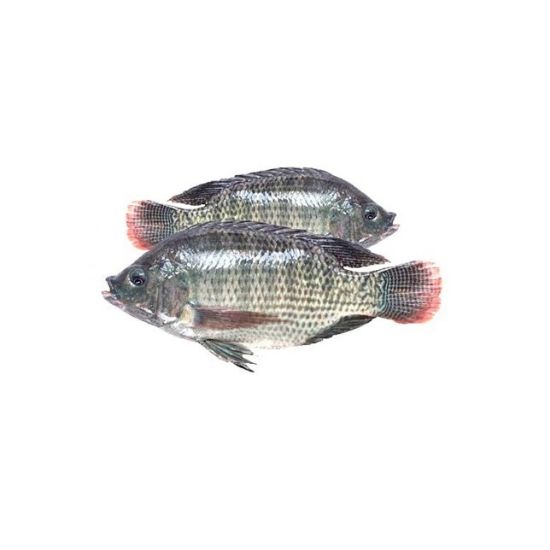 Picture of Oshenz Frozen Tilapia Cleaned Medium Super Save 1kg