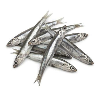 Picture of Anchovy - Small 1kg