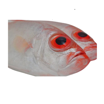 Picture of Biju - Small 1kg