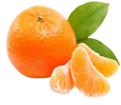 Picture of Mandarin Turkey