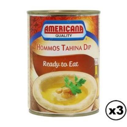Picture of Americana Hommos Tahina Dip, 3x400gm