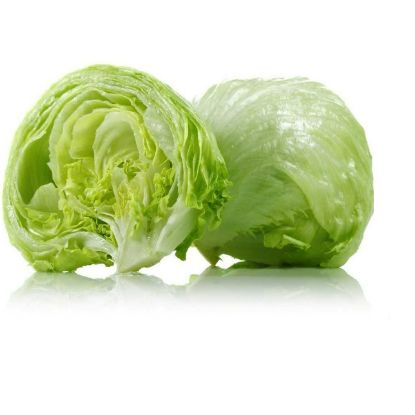 Picture of Iceberg Lettuce Spain