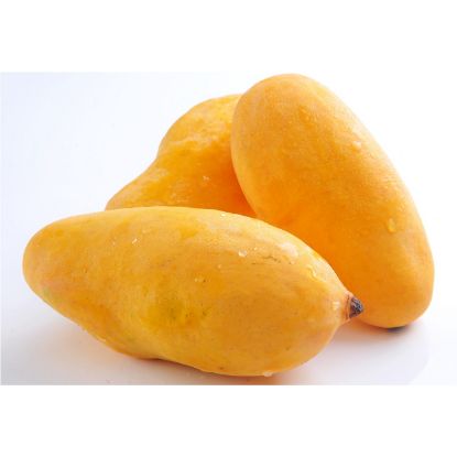 Picture of Mango Yellow Thailand