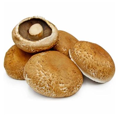 Picture of Mushroom Portabella Holland (Agaricus Bisporus) 200gm