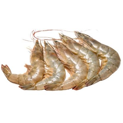 Picture of Shrimps Big