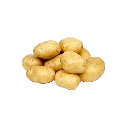 Picture of Potato Loose Egypt