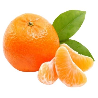 Picture of Nadorcott Mandarin South Africa
