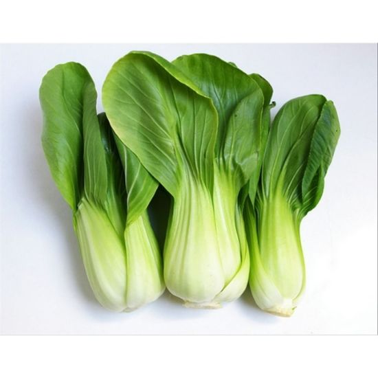 Picture of Baby Paksoy China 1 Pack